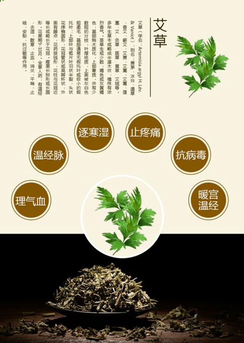 艾灸贴定制：中医养生的现代智慧