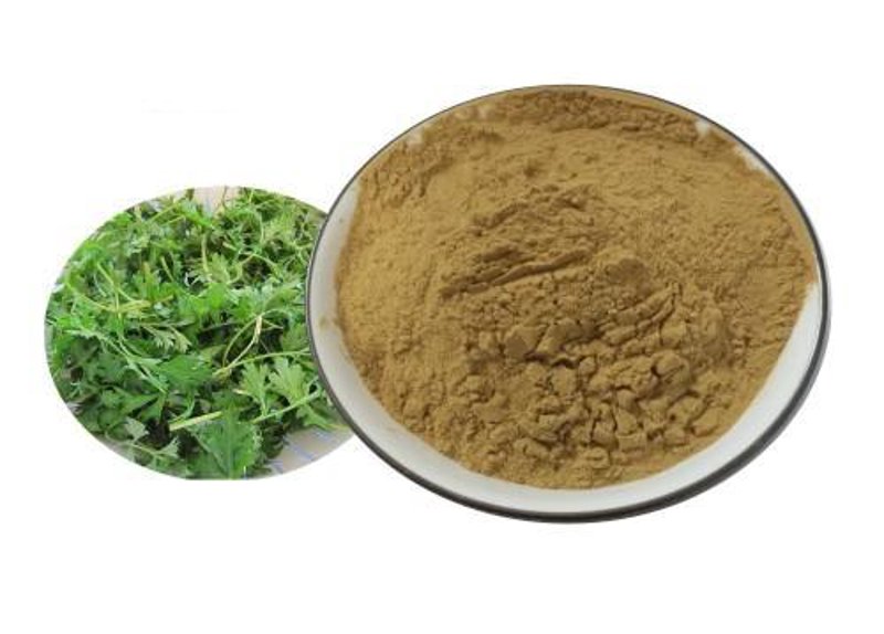 艾灸贴定制选购指南：让健康更有温度