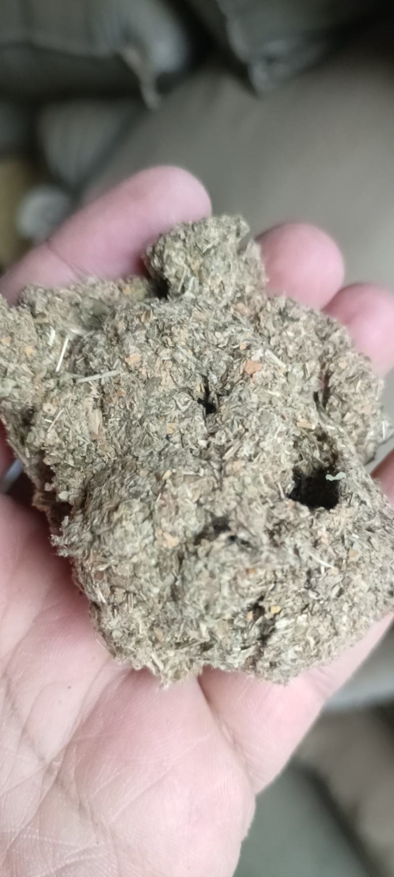 艾草精油：天然健康的好伙伴